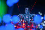 DSC_4039s.jpg