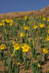 DSC_4176s.jpg