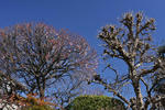 DSC_4186s.jpg