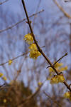 DSC_4191s.jpg