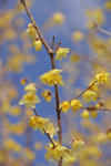 DSC_4284s.jpg