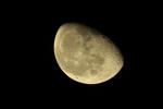 IMG_2821s.jpg