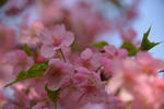 DSC_6002s.jpg