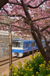 DSC_6024s.jpg