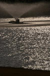 DSC_6099s.jpg