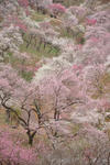 DSC_6179s.jpg