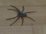 DSC00843.JPG