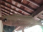 DSC02029.JPG