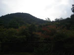 DSC02032.JPG
