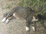 DSC02082.JPG