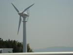 DSC00285.JPG