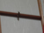 DSC02272.JPG