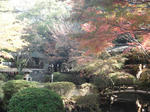 DSC02280.JPG