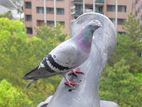 P1100025.JPG