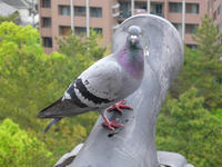 P1100027.JPG