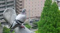 P1100035.JPG