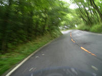IMGP2941.JPG