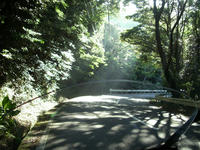 IMGP3005.JPG