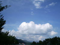 IMGP3061.JPG