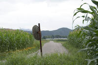 PICT0006.jpg