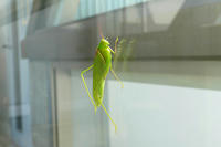 P1450005.JPG