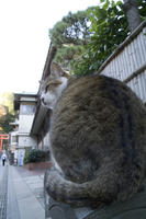 PICT0029.jpg