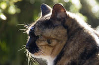 PICT0062.jpg