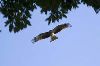 PICT0066.jpg