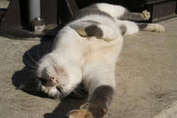 PICT0113.jpg