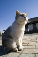 PICT0201.jpg