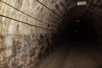 P1850003.jpg