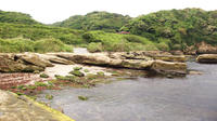 P2010027.jpg