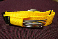 P2010067.jpg