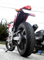 SH3B0020.JPG