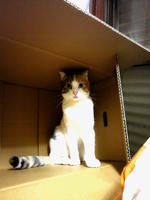 SH3B0055.JPG