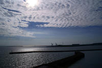 _DSC0044.JPG