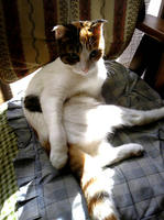SH3B0182.JPG