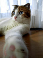 SH3B0186.JPG