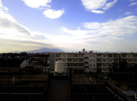 SH3B0294.JPG