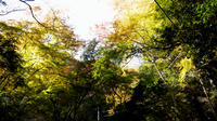 P2200016.jpg