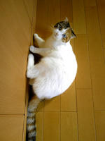 SH3B0269.JPG
