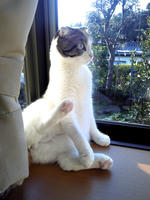 SH3B0307.JPG