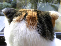 SH3B0321.JPG