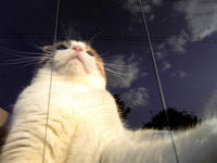 SH3B0337.JPG