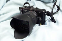 P2240004.jpg