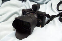 P2240005.jpg
