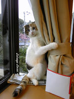 SH3B0376.JPG