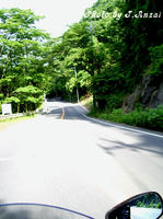 IMGP3649.JPG