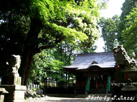 IMGP3672.JPG