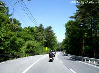 d746e891.JPG